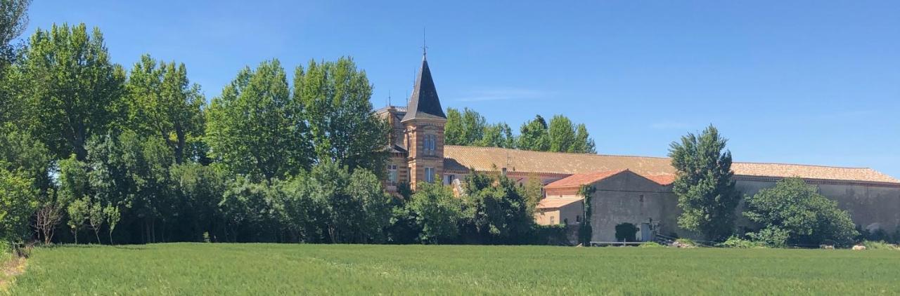 Chateau De La Prade Narbona Exterior foto